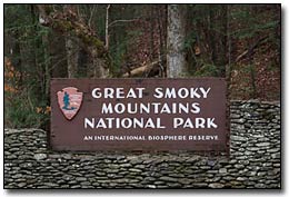 Wildlife Photography In Great Smoky Mountains National Park