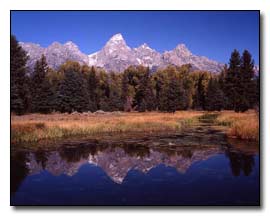 Blacktail Ponds Photograph  Terry