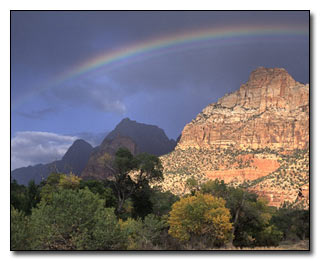 Zion Photograph © Terry